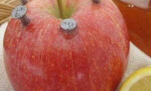 In the summer I visited a garden center and its owner had nails stuck into an apple. It made my jaw drop.