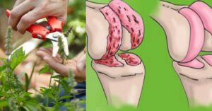 Joint pain after fifty: tackle it with natural methods. We'll show you how.