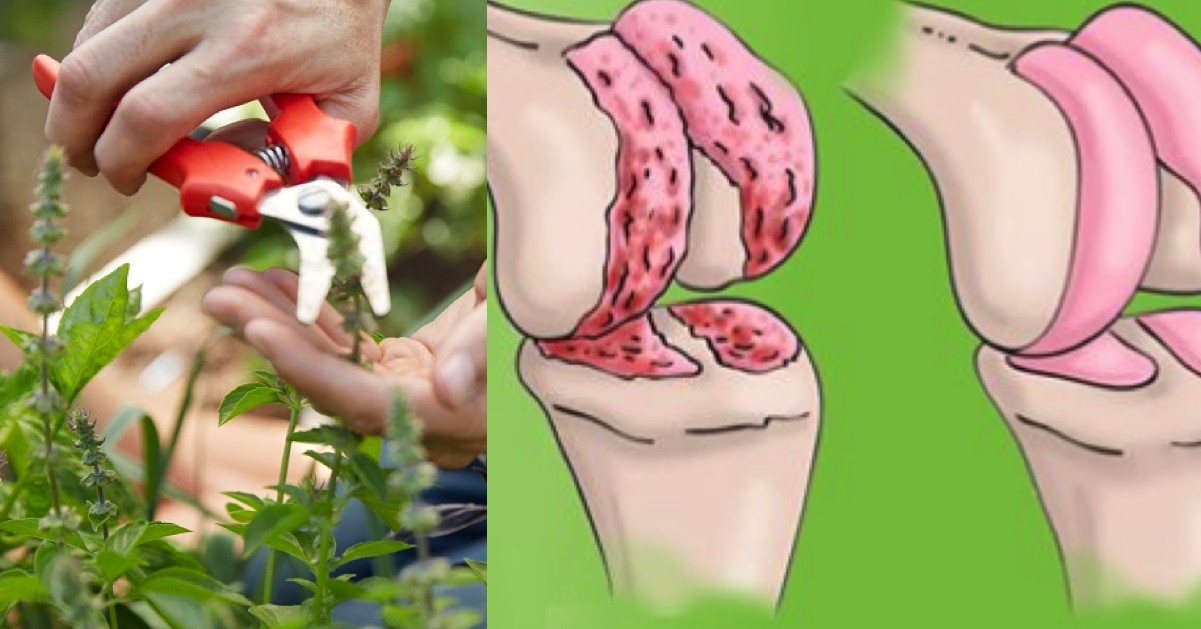 Joint pain after fifty: tackle it with natural methods. We'll show you how.