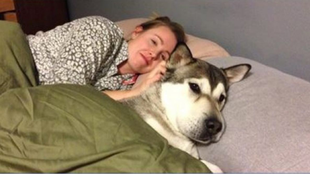 Don't you allow your dog to sleep with you in the same bed? After reading this article you'll want to have him by your side forever!