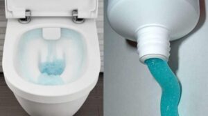 This trick from my mother-in-law will save you a lot of money and the toilet will smell nice even without expensive air fresheners!