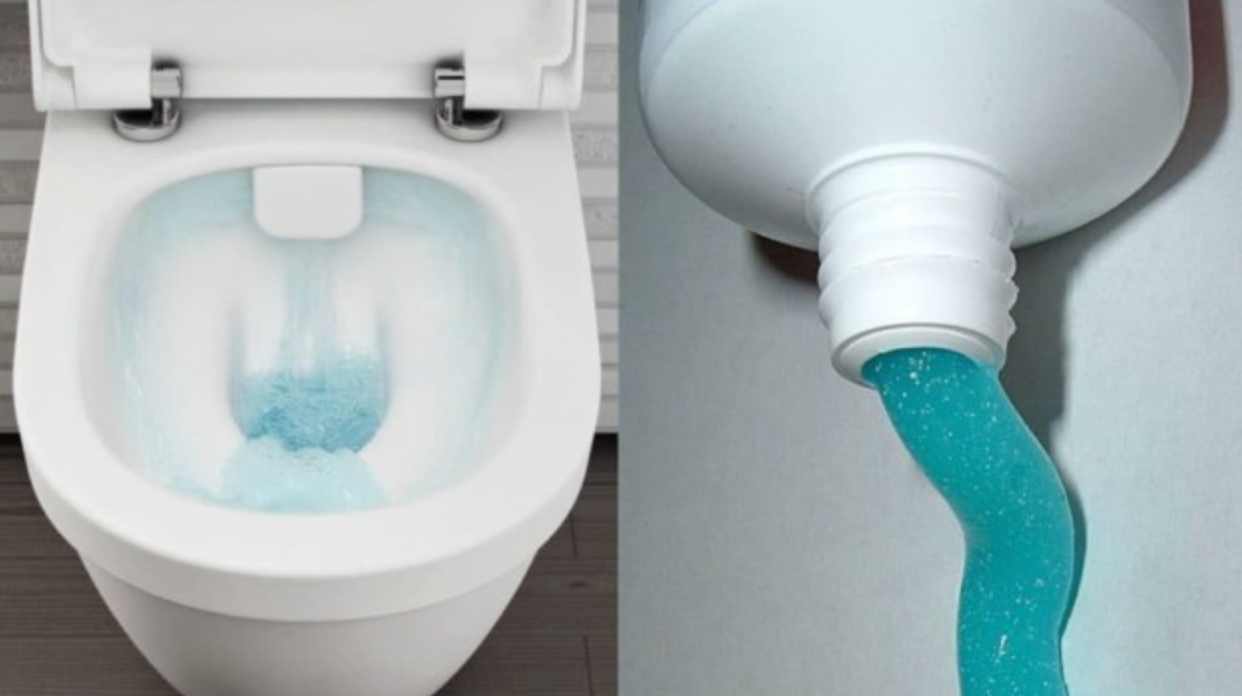This trick from my mother-in-law will save you a lot of money and the toilet will smell nice even without expensive air fresheners!