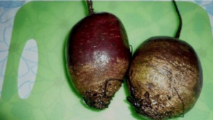 Červená řepa čistí tělo