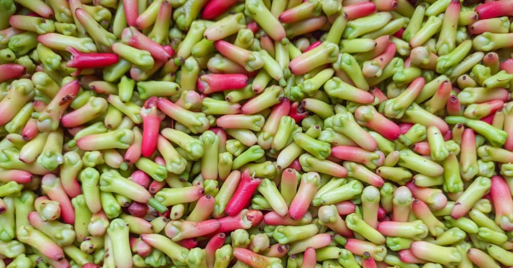 Hřebíček: Přírodní lék