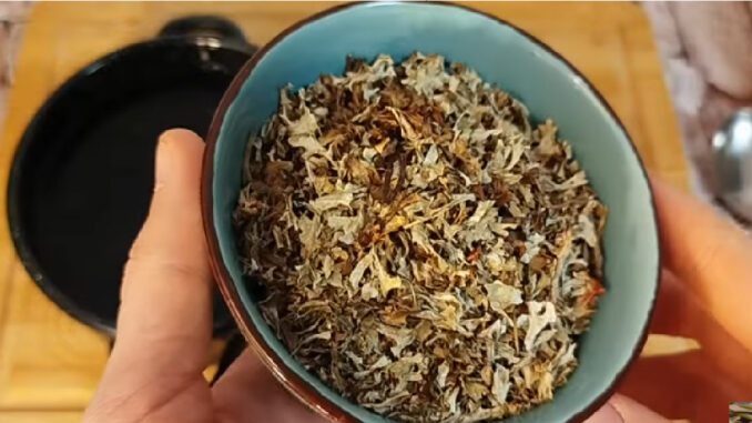 lišejník islandský