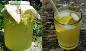 Linden Blossom Lemonade: gentle refreshment and a healing miracle in one glass