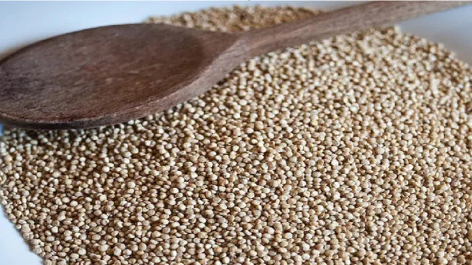 The best WEIGHT-LOSS ACCELERATOR. Lowers blood sugar and suppresses appetite!