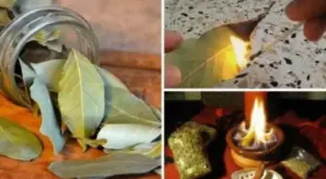 Light a bay leaf at home and watch what happens after 10 minutes! I didn't believe it, but it really works!