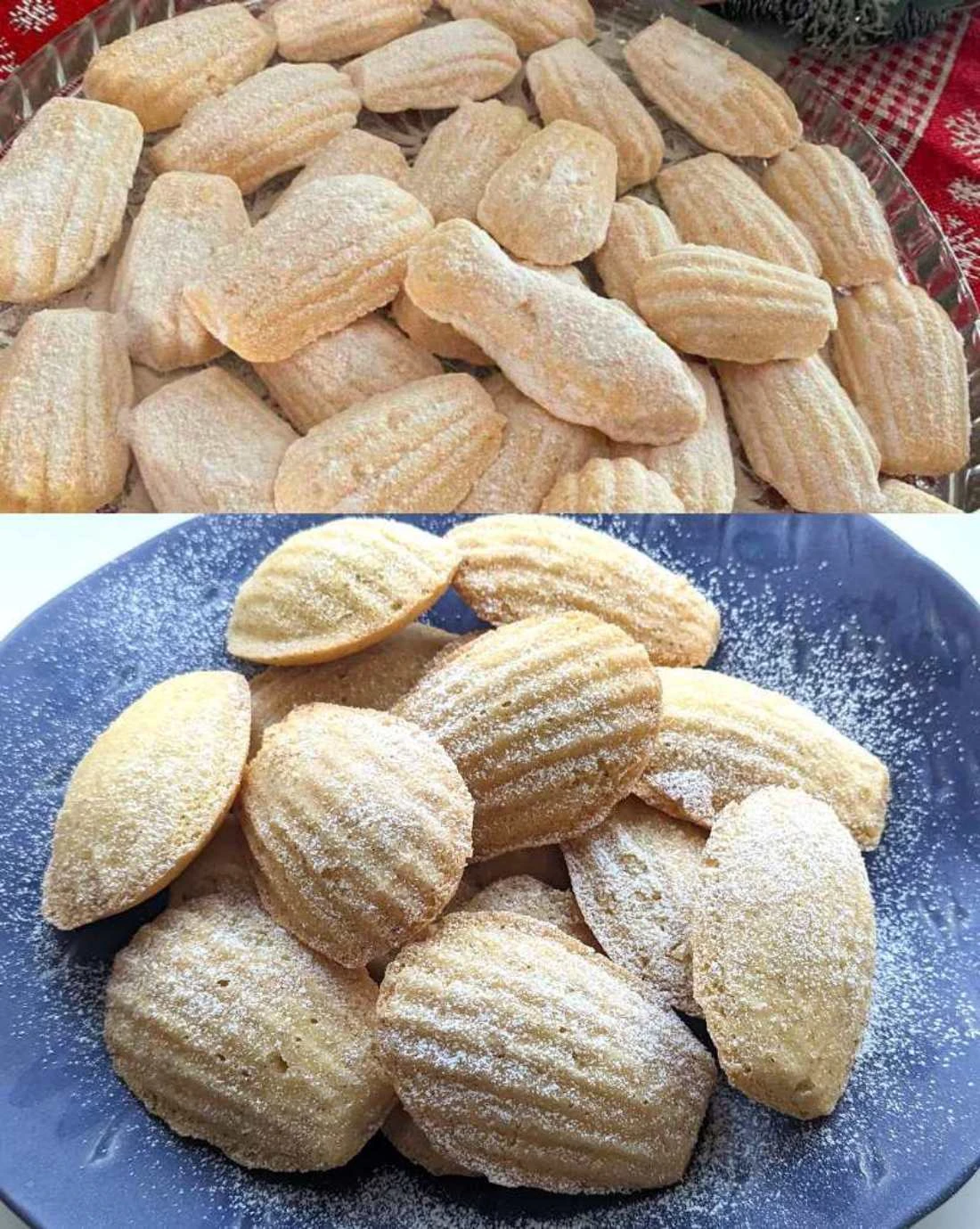 Medvědí tlapky ze Zlatého klasu